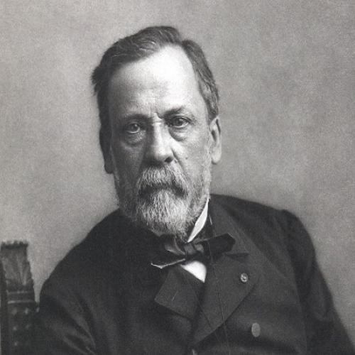 (Danh nhân - Y học) Louis Pasteur